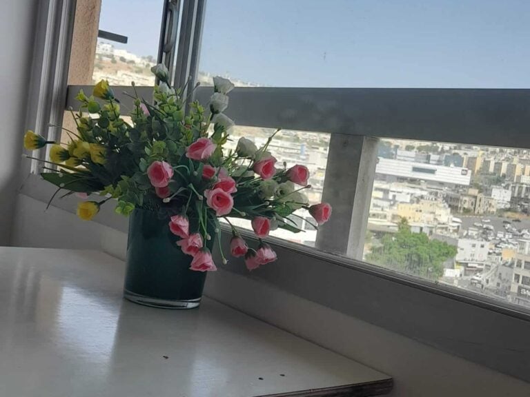 Housing unit in Tiberias - vacation apartments, short-term rentals, sublet