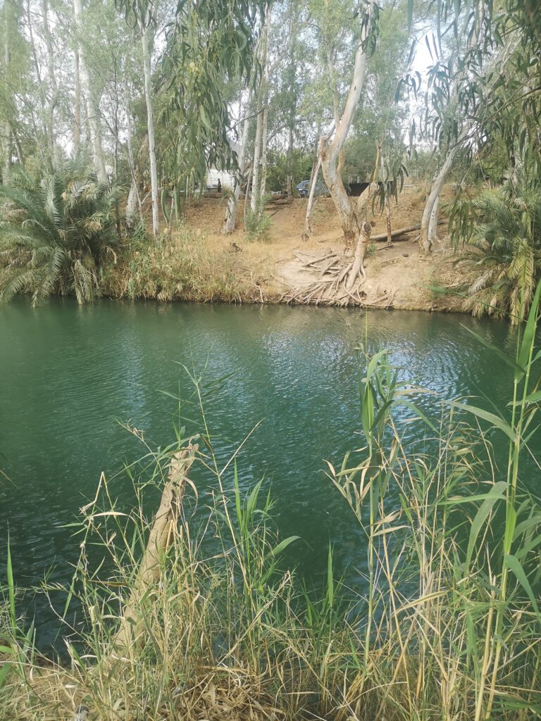 קראוון ביבנאל - דירות נופש, השכרה לטווח קצר, סאבלט